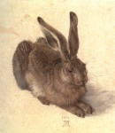 Albrecht Dürer